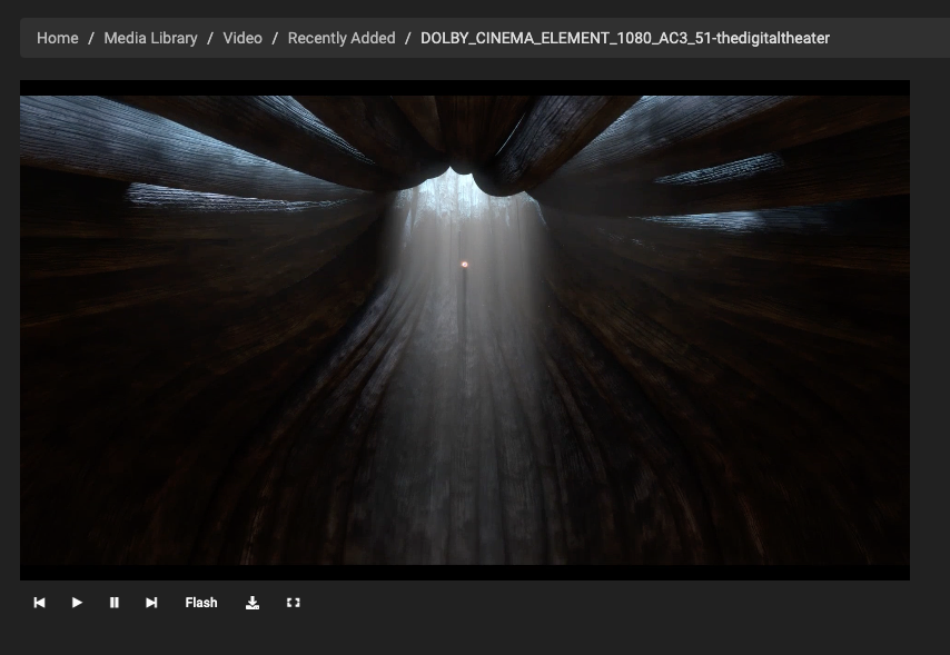 Video auf dem Web-Interface